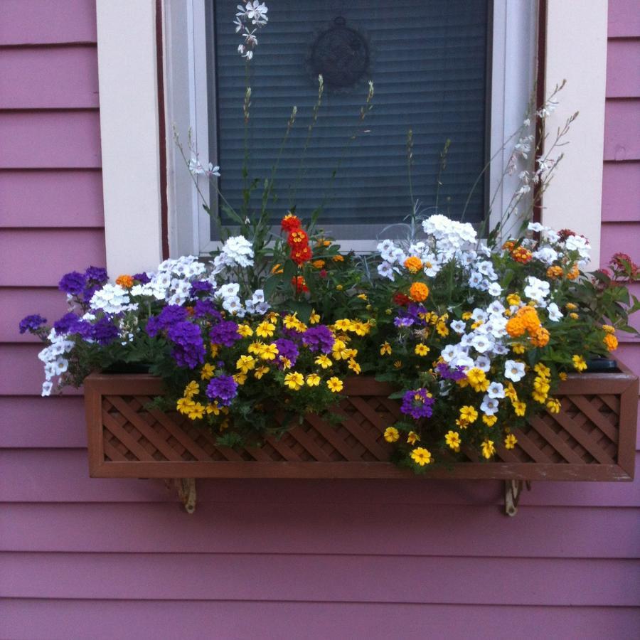 Rose & Thistle Bed & Breakfast Cooperstown Eksteriør bilde