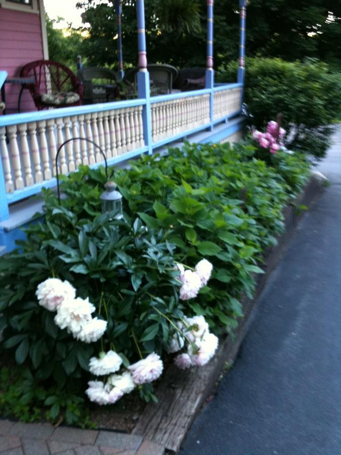 Rose & Thistle Bed & Breakfast Cooperstown Eksteriør bilde